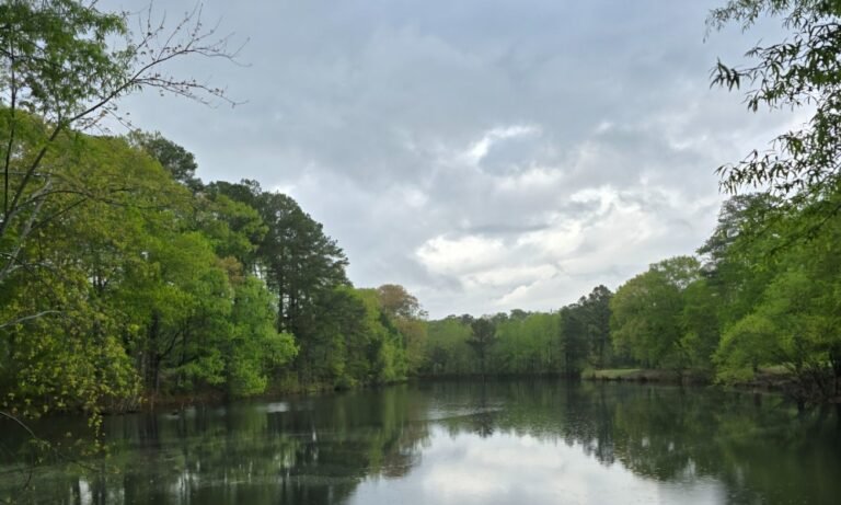 A pretty view of water and trees at Birchwood Malibu Park, in Virginia Beach!