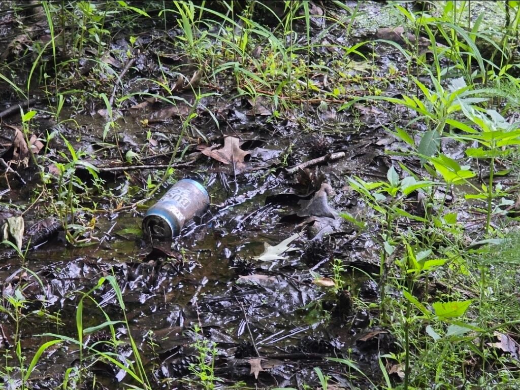 Trash by the water, stuck in mud!